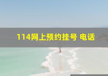 114网上预约挂号 电话